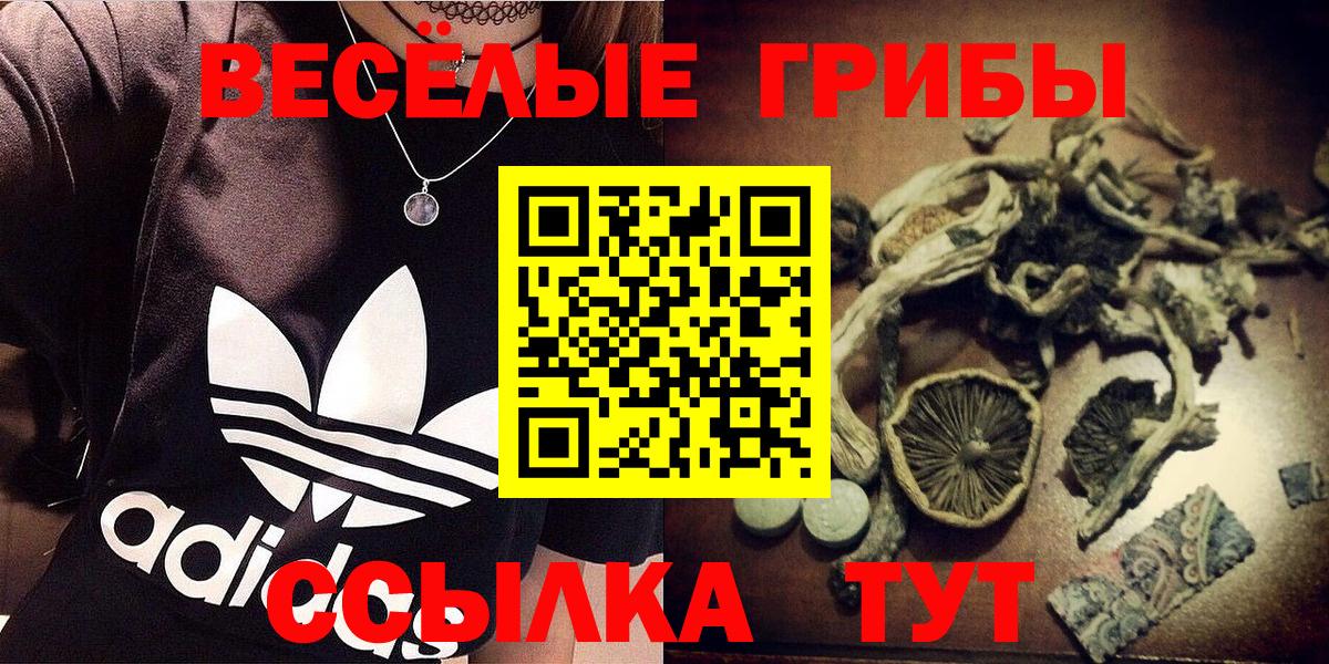 Омск  Галлюциногенные грибы прущие грибы  Вход с VPN 